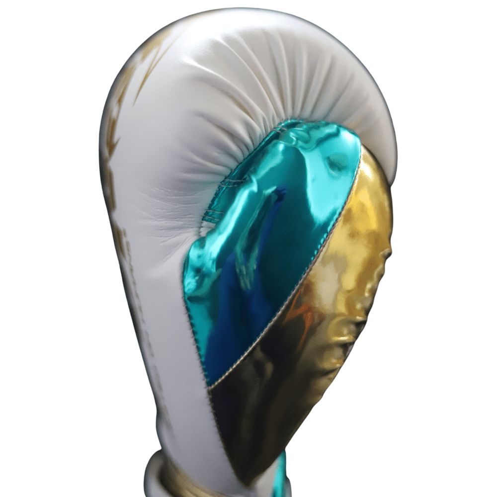 Boxing Gloves (8523449139496)