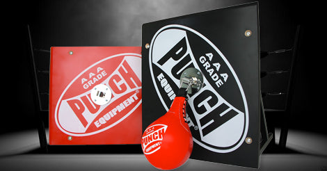 Top 5 Reasons to buy a Speed Ball