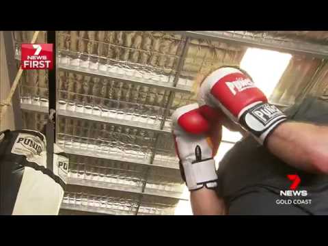 Heart Surgeon chooses Punch boxing gloves