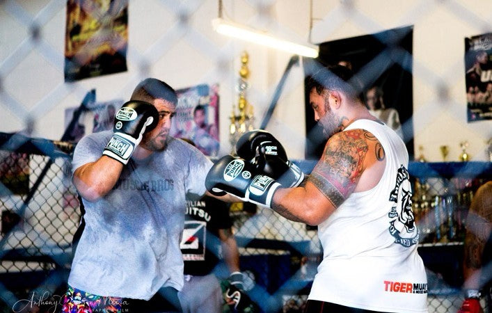 Fight Shows & Events - 18/19 May 2018