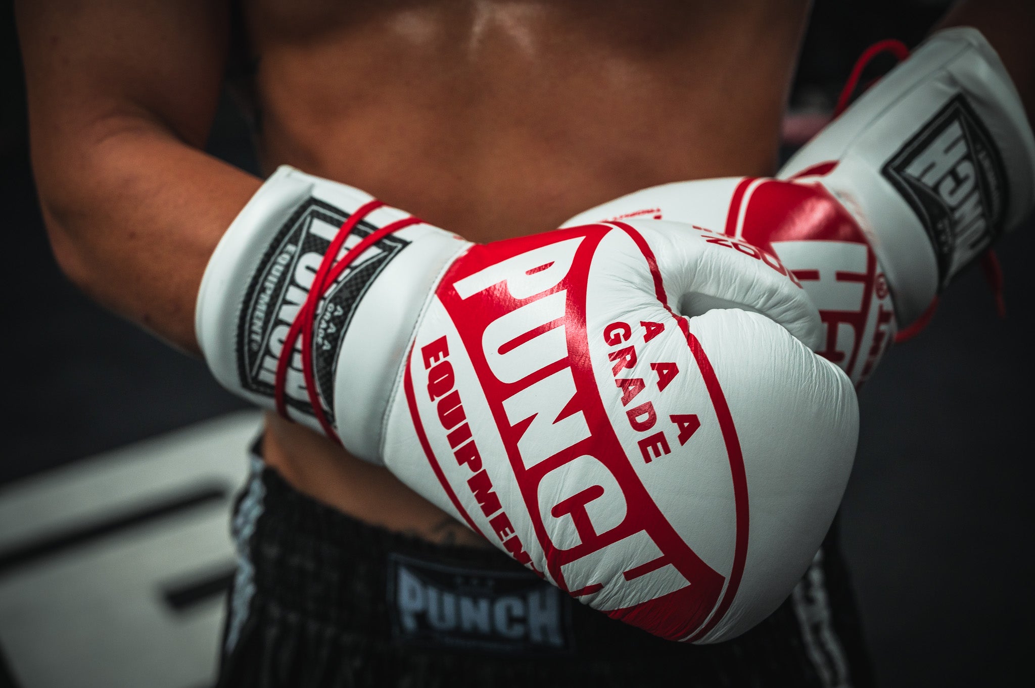 Boxing Instruments Boxing Gloves, Bags & Protective Gear | Punch Equipment® since 1989