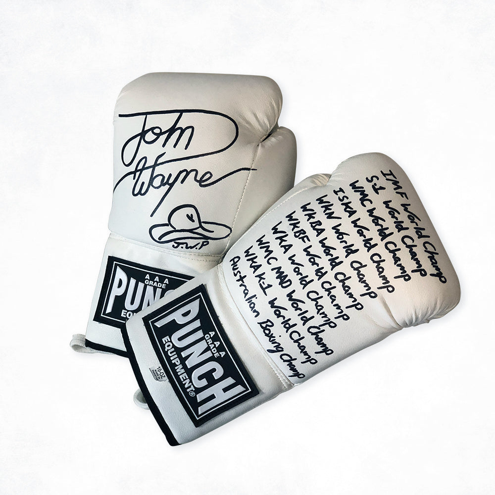 BOXING GLOVES - Autograph/ Signature ONLY